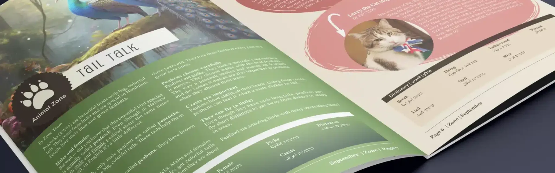 BG zone September 2024-2