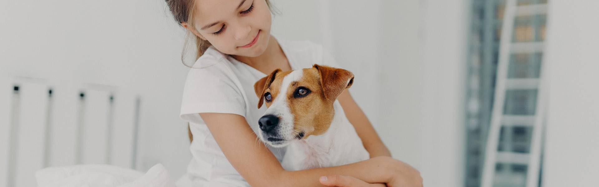 אוצר מילים באנגלית חיות